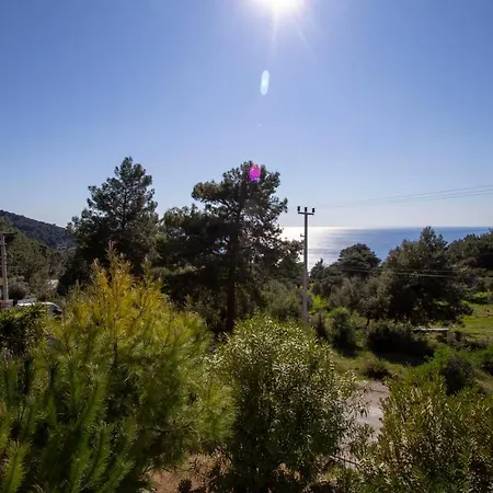 Tatil Premium Gardenia Villa *
