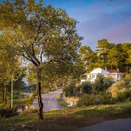 Villa Tatil Premium Gardenia